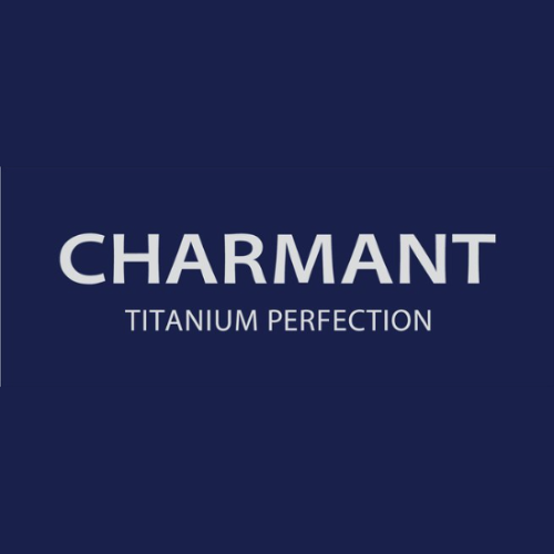 Charmant Namur